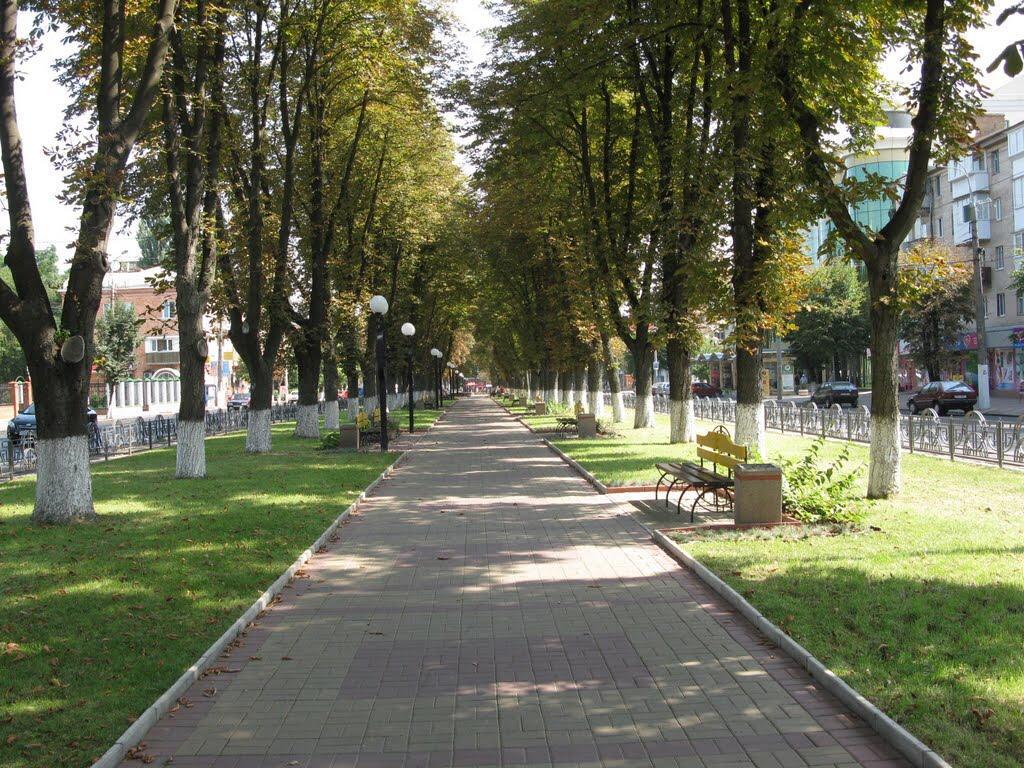 Неймовірно Затишна Студія У Центрі Міста Біля Лікарні Імені Пирогова Вінниця Екстер'єр фото